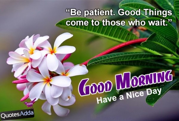Be Patient - Good Morning-wg140073
