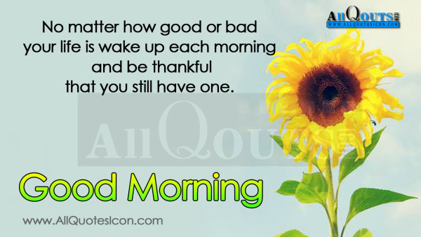 Be Thankful You Still Have One - Good Morning-wg16038