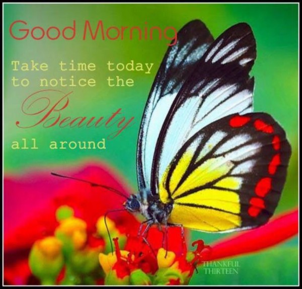 Take Time Today-Good morning-wg034057