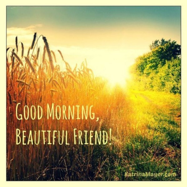 Beautiful Friend -Good  Morning-wg034065