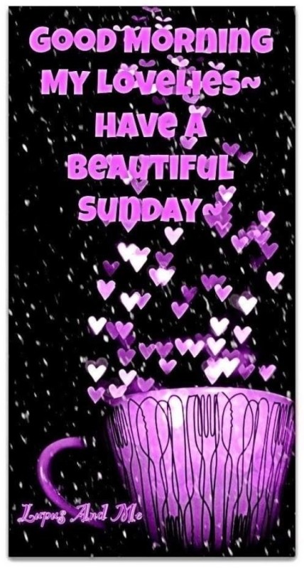 Beautiful Sunday -Good morning-wg034068