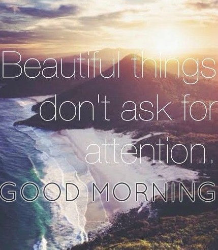 Beautiful Things Do Not Ask For Attention-wg16046