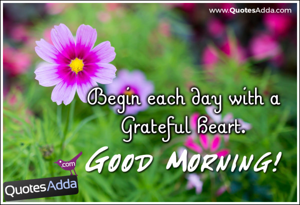 Begin Each Day With A Gretaful Heart-wg16049