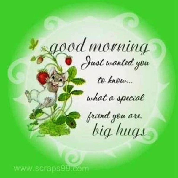 Big Hugs-  Good Morning-wg023048