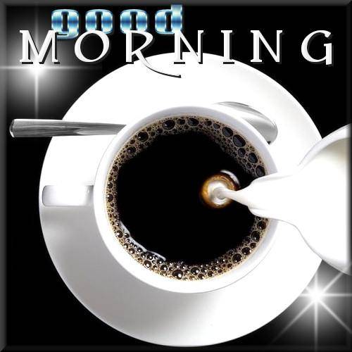 Black Morning Tea-wg0180039
