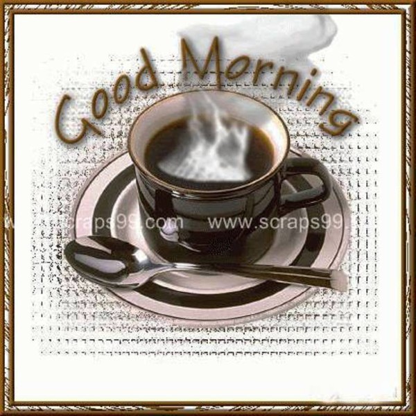 Black Tea-  Good Morning-wg023052