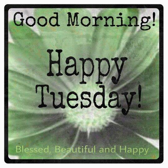 Blessed Beautiful Tuesday-wg16057