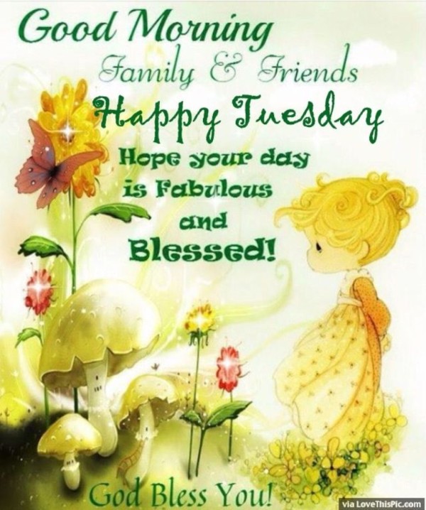Happy Tuesday - Blessed Day - Good Morning-wg034077