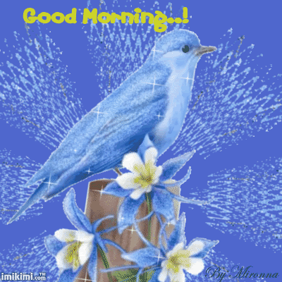 Blue Bird - Good Morning-wg0180040