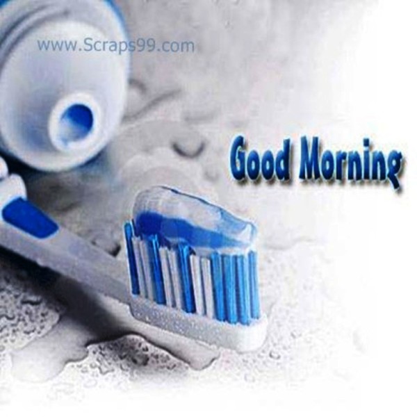 Brush - Good Morning-wg023057