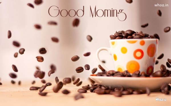 Coffee -  Good Morning-wg034033