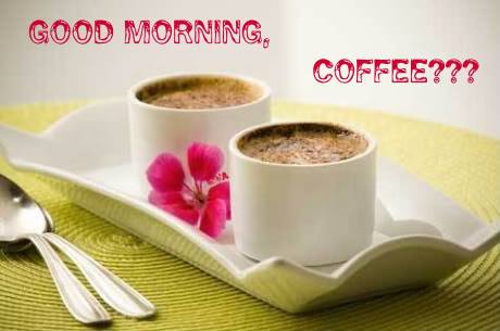 Coffee - Morning !-wg16062