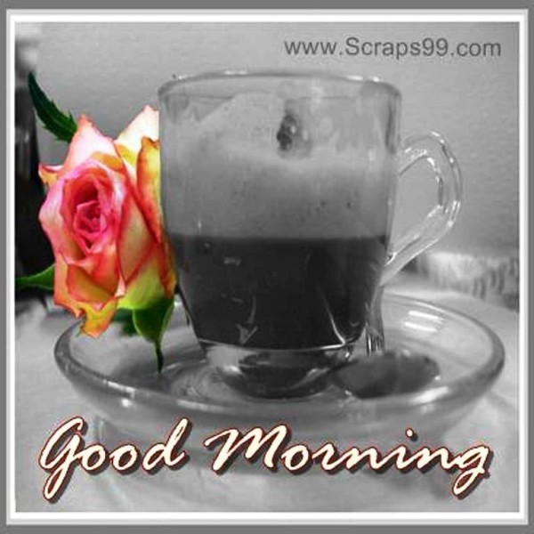 Coffee - Good Morning-wg023070