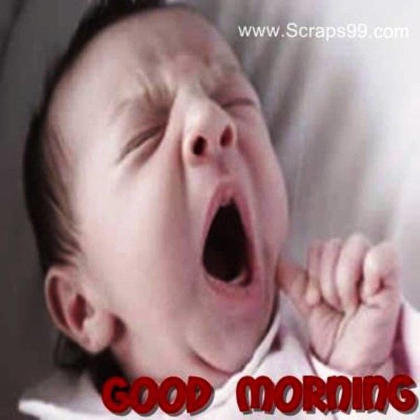 Cute Baby -  Good Morning-wg023083