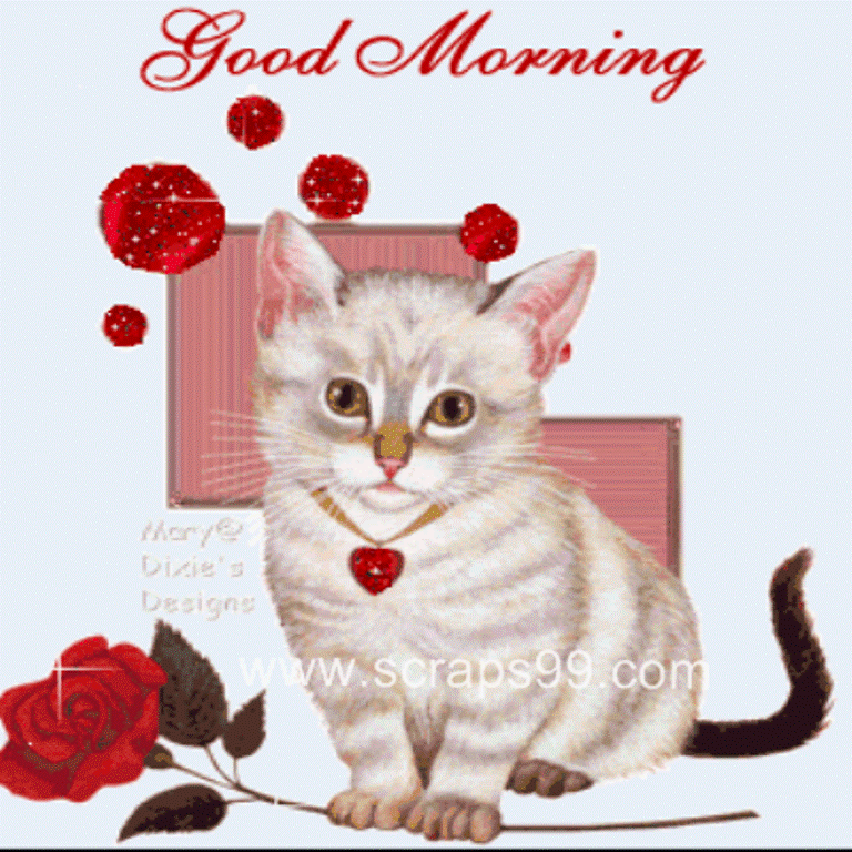 Cute Cat -  Good Morning-wg034110