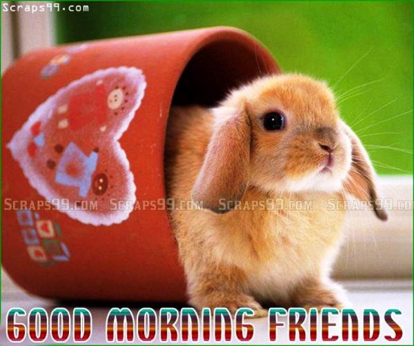 Cute Image-  Good Morning-wg023088