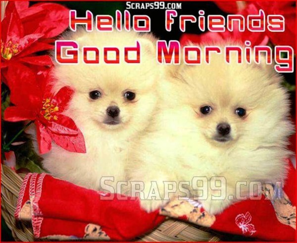 Cute Puppies -  Good Morning-wg023082