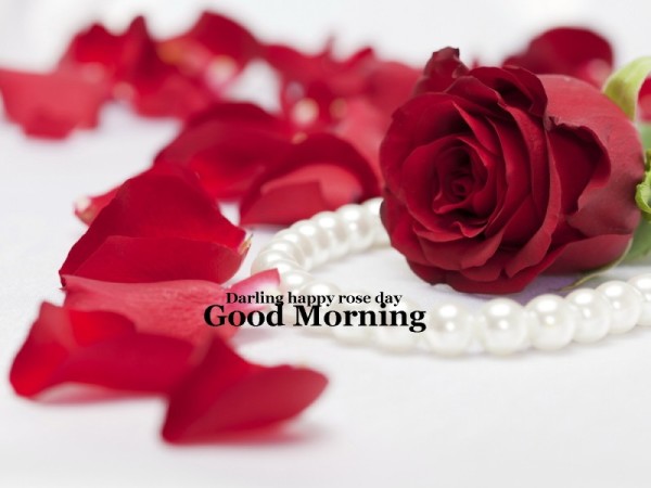 Darling happy Rose Day - Good Morning-wg16072