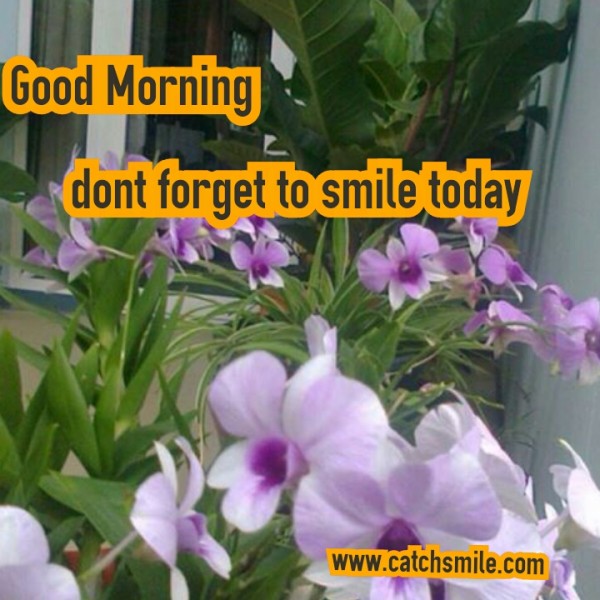 Do Not Forget To Smile - Good Morning-wg16077
