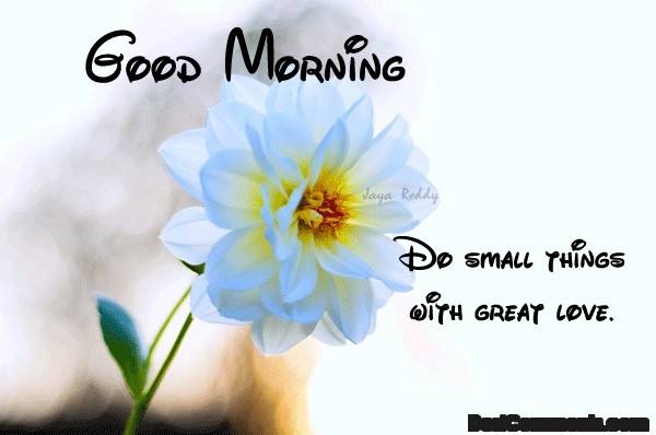 Do Small Things With Great Love - Good Morning-wg140138