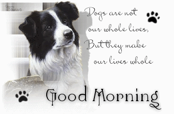 Dogs Are Not Our Whole Lives - Good Morning-wg0180082