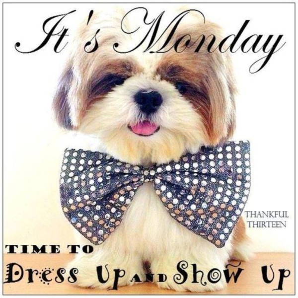 Dress Up And Show Up - Good Morning-wg034121