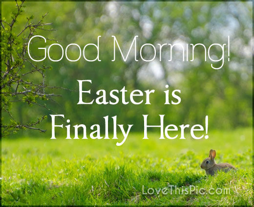 Easter Is Finally Here - Good Morning-wg11119