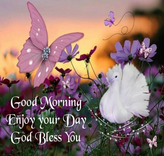 Enjoy Your Day - Good Morning-wg140170
