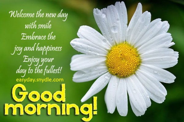 Enjoy Your Day To The Fullest - Good Morning-wg034127