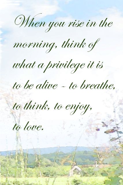 Enjoy Your Life - Good Morning-wg11129
