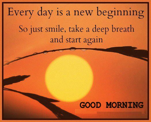 Every Day Is A New Beginning-wg140176