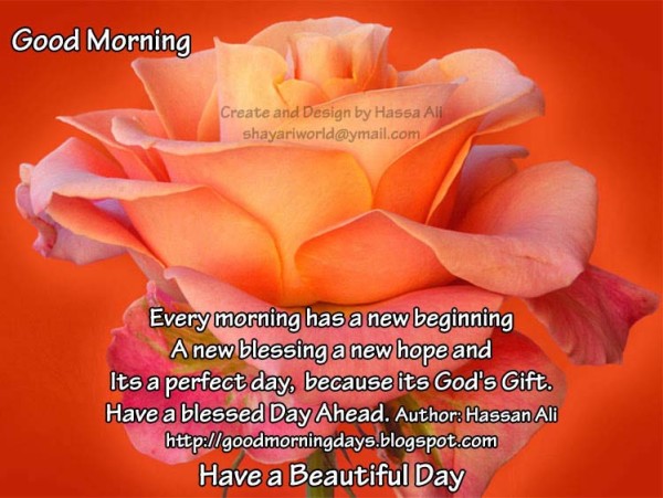 Every Morning Has A New Beginning - Good Morning-wg140183