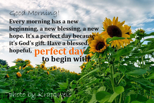 Have A Blessed And Perfect Day
