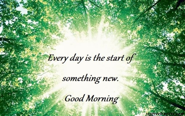 Every Morning Is A Start Of Something New-wg034048