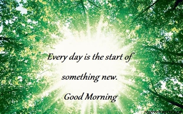 Every Morning Is A Start Of Something New-wg034048