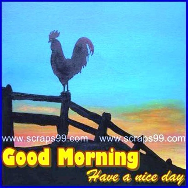 Have A Nice Day - Good Morning-wg023109