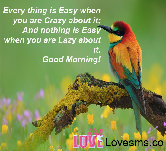 Everything Is Easy - Good Morning-wg16102