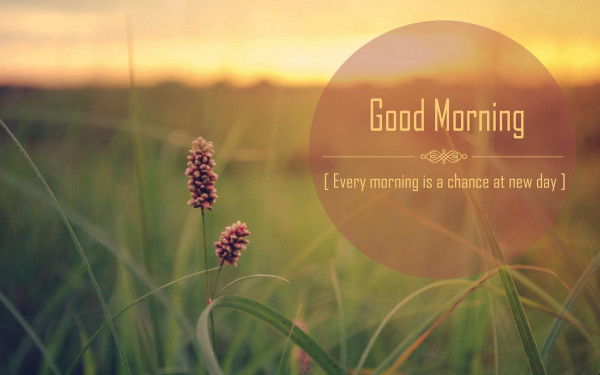 Evey Morning Is A Chance At New Day-wg16103