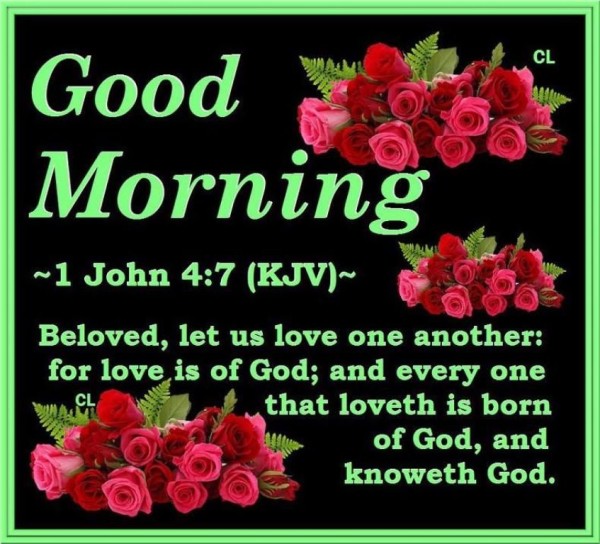 Good Morning Beloved -wg034144