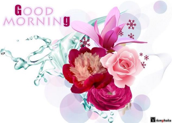 Flowers - Good Morning !-wg16105
