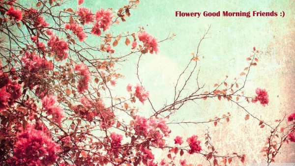 Flowery  Morning -  Friends-wg034145