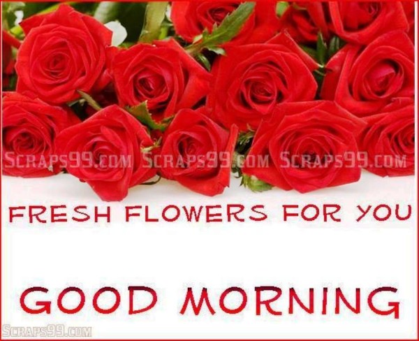Fresh Flowers - Good Morning-wg023116