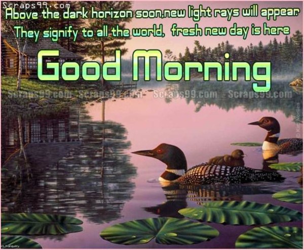 Fresh New Day Is Here -  Good Morning-wg034150