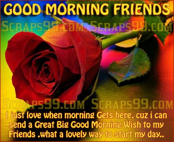 Sweet Morning To Sweet Friends 