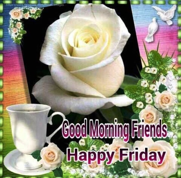 Friends - Good Morning Happy Friday-wg023120