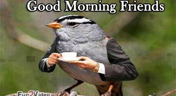 Friends - Good Morning!-wg023121