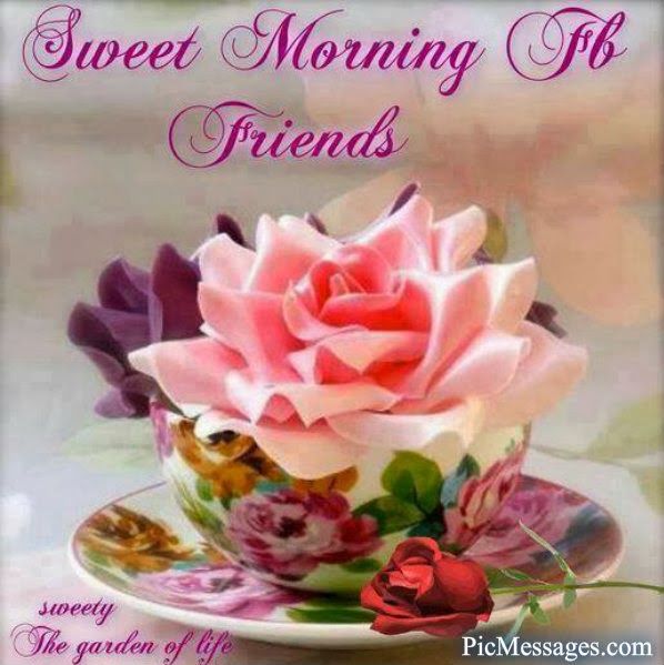 Friends -  Good Morning-wg11158