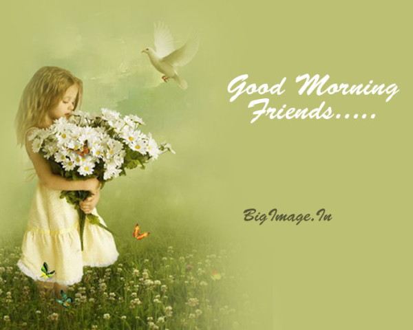 Friends - Good Morning-wg11159