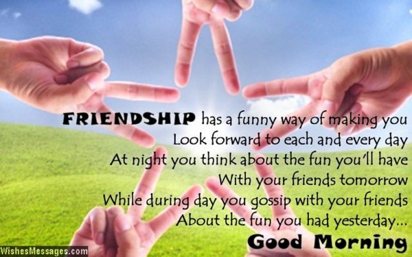 Friendship - Good Morning-wg023122