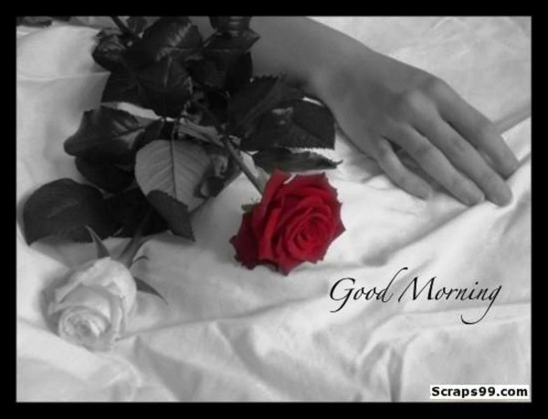 Get Up - Good Morning-wg023131